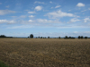 Rome-reis-twee(165).jpg