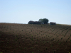 Rome-reis deel 4 (430)