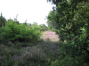achterhoek (20)