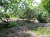 achterhoek (24)