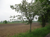 img_0009