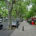 Het platanenlaantje In Montélimar