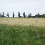 Het landschap doet aan de Camarque denken