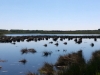 2015-06-04 11.59.25.jpg
