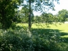 2015-06-04 12.16.39.jpg
