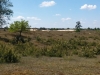 2015-06-04 12.46.16.jpg