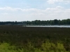 2015-06-04 14.23.34.jpg