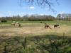 Bij Anderen