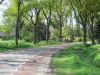 Pieterpad wandelaars