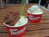 Talamini in Zwolle