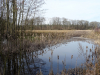 Het Halkenveen