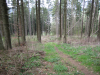 eifel (210)
