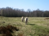 noaberpad-wedde-boertange-18