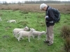 noaberpad-bourtange-ter-wisch34