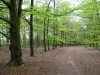 noaberpad-eschen-naar-ootmarssum-23