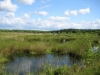 noaberpad-klazienaveen-noord-schoonebeek-006