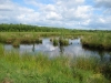 noaberpad-klazienaveen-noord-schoonebeek-008