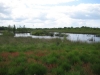 noaberpad-klazienaveen-noord-schoonebeek-009