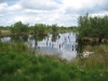 noaberpad-klazienaveen-noord-schoonebeek-010