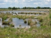noaberpad-klazienaveen-noord-schoonebeek-015