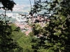 Ulm eo - zomer 2014 (20)