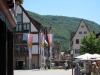 Ulm eo - zomer 2014 (27)