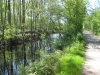 Zevenwoudenpad Harkema-Ureterp (8).jpg