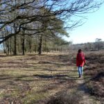 Orvelterzand