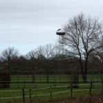 Alweer een ooievaar die terug is en hard bezig om zijn/haar nest in orde te maken.