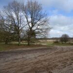 Het Holtingerveld bij Havelte
