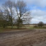 Het Holtingerveld bij Havelte