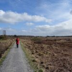 Het Holtingerveld bij Havelte