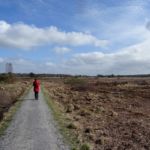 Het Holtingerveld bij Havelte