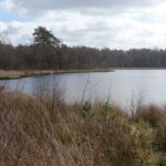 Het Brandeveen (1)