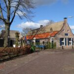 Diever
