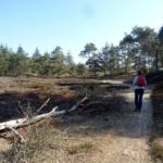 De Hoekenbrink bij Diever