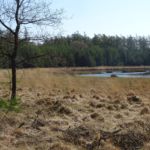 De Hoekenbrink bij Diever