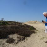 Het Aekingerzand