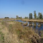 Het Fochteloerveen
