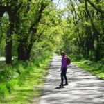 Het mooie groen in deze tijd van het voorjaar. Prachtig