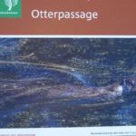 Een Otterpassage in de weg van Langelo naar Lieveren