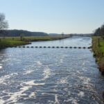 De Vecht