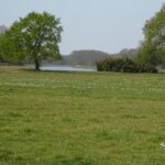 De Vecht