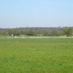 De Archemerberg in de verte