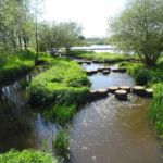 Vistrap en stuw bij Hancate