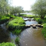 Vistrap en stuw bij Hancate