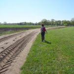 Soms wel nogal modderig of erg mul wandelpad. Wel erg rustig.