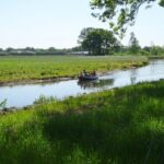 De Regge