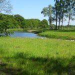 De Regge