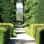 In de verte zie je al de toren van Hoog Elten